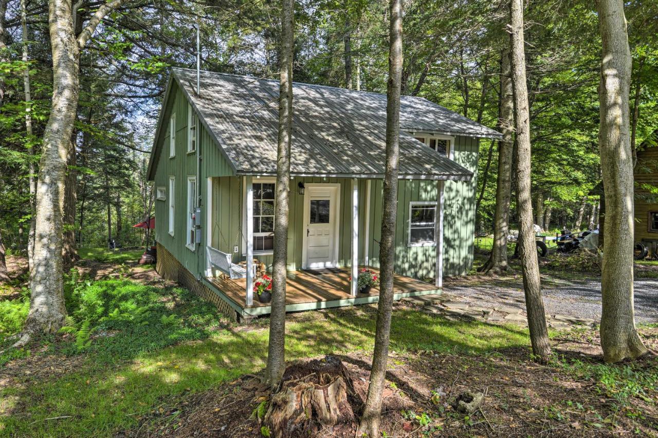 Adirondacks Cabin With Fire Pit On Otter Lake! Forestport Esterno foto